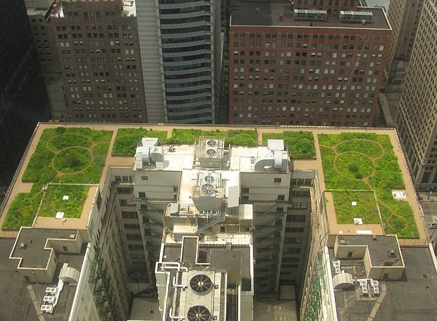 Telhado verde da City Hall de Chicago, Illinois (Foto: Creative Commons)