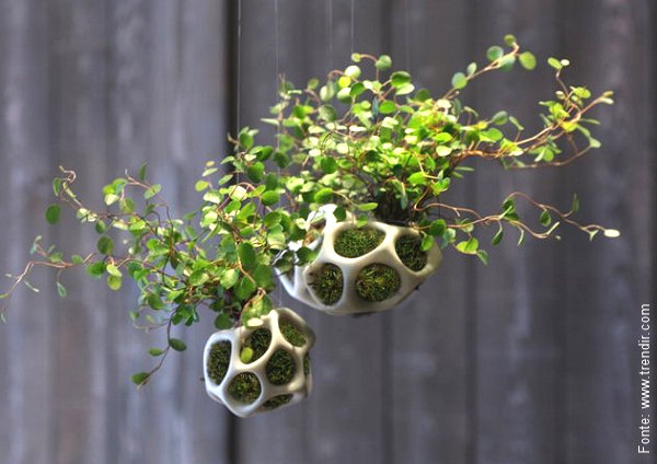 Post's featued image.