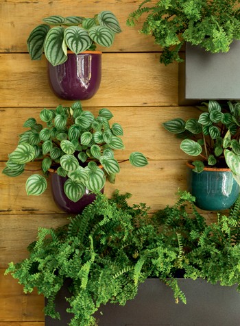 cj718_paisagismodicas_12