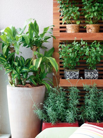 cj718_paisagismodicas_3