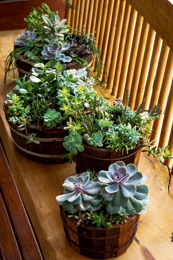 cj718_paisagismodicas_8