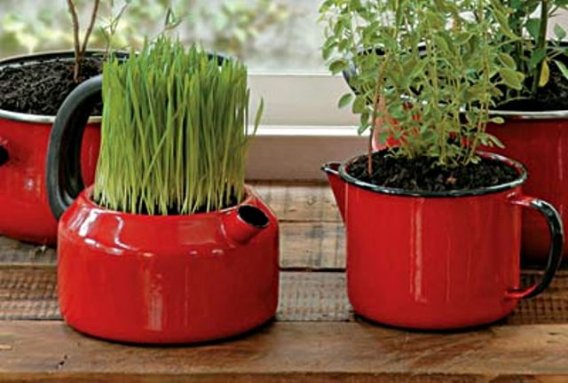 horta_-_Mimo_Chic_16